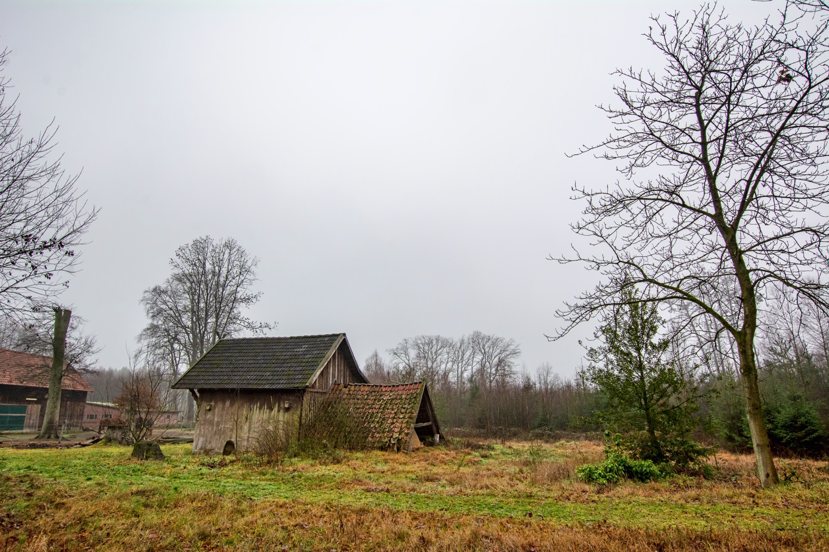 Am Rande eines Bauernhofes