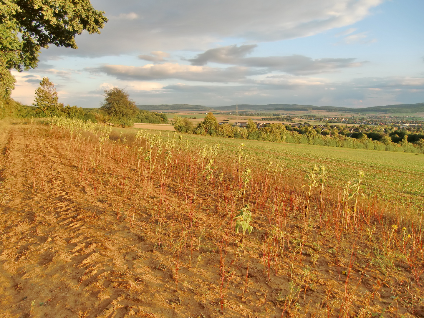 Am Rande von Hildesheim