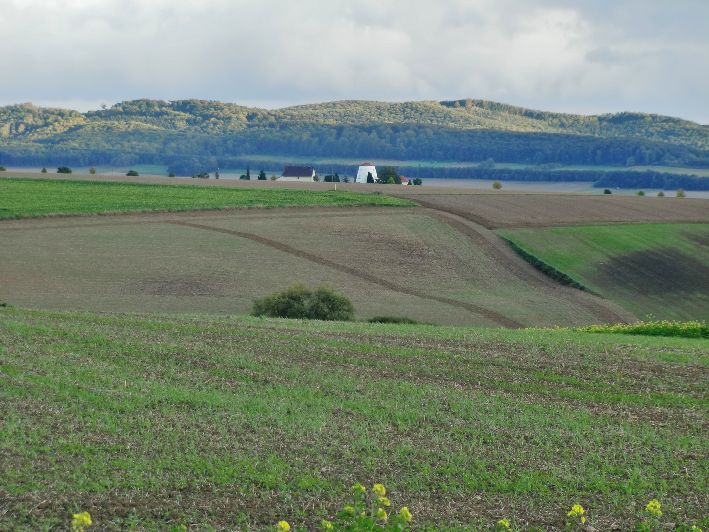 Am Rande von Hildesheim