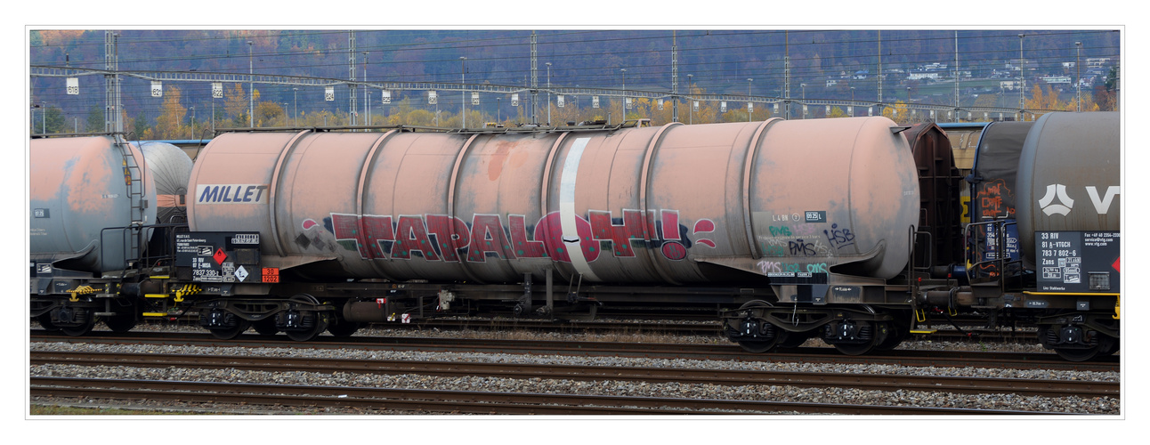 Am Rangierbahnhof Limmattal - 2 Foto & Bild | schweiz, cargo, eisenbahn Bilder auf fotocommunity