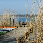 Am Rangsdorfer See