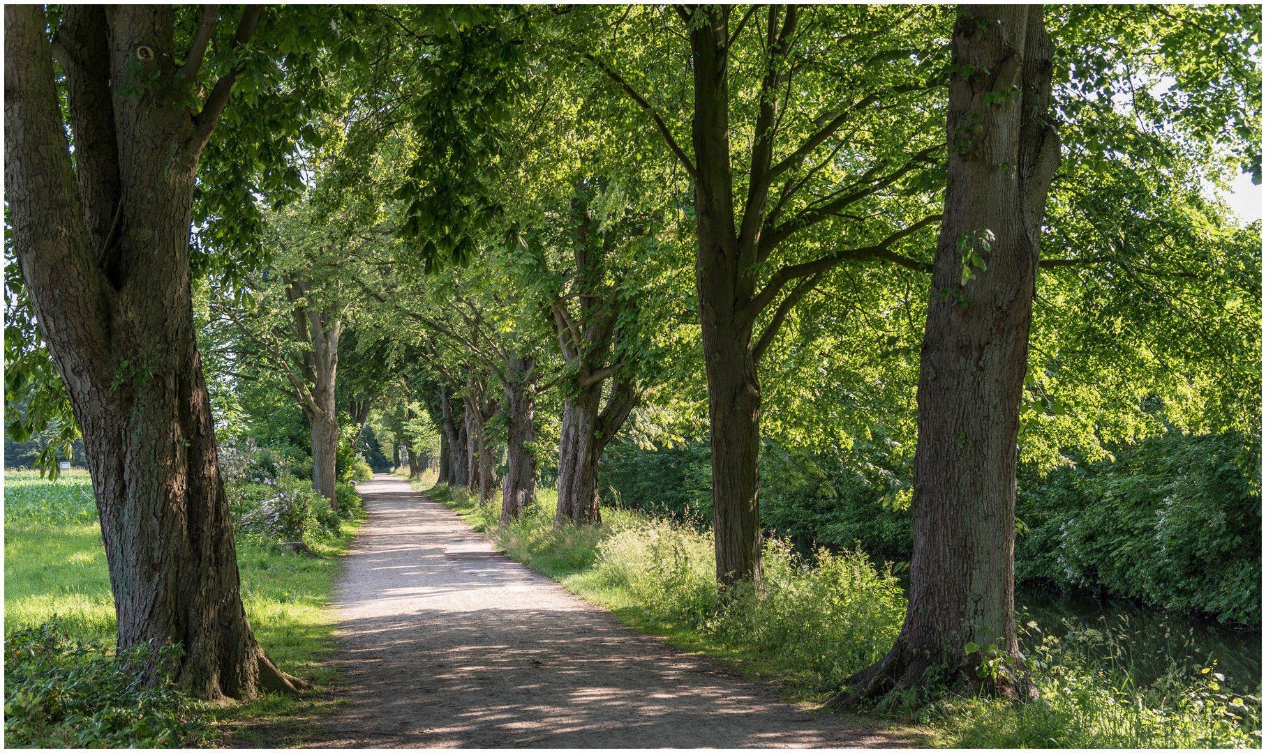 Am Rantzauer See Foto & Bild world, bäume, see Bilder auf