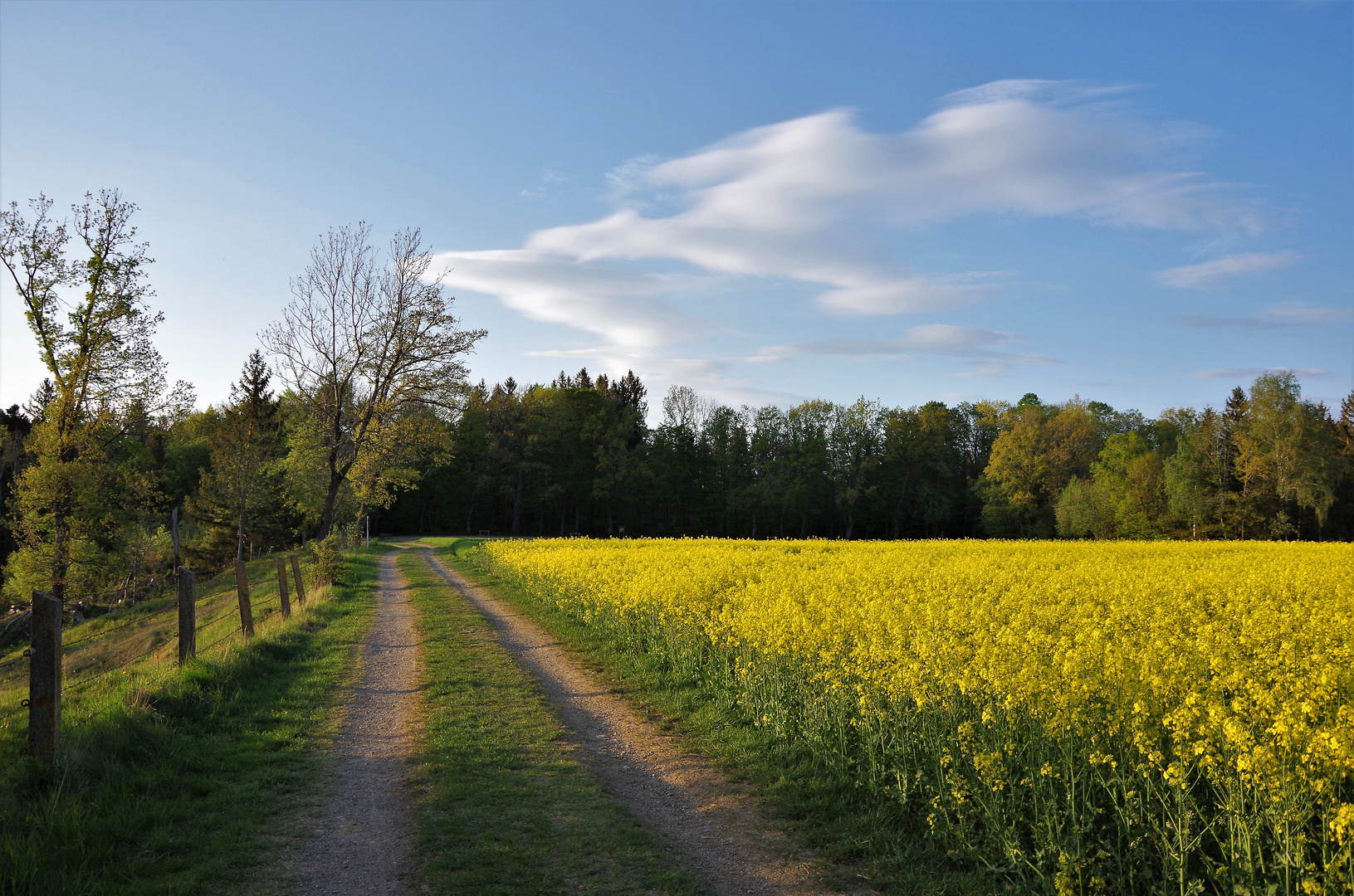 Am Rapsfeld 1