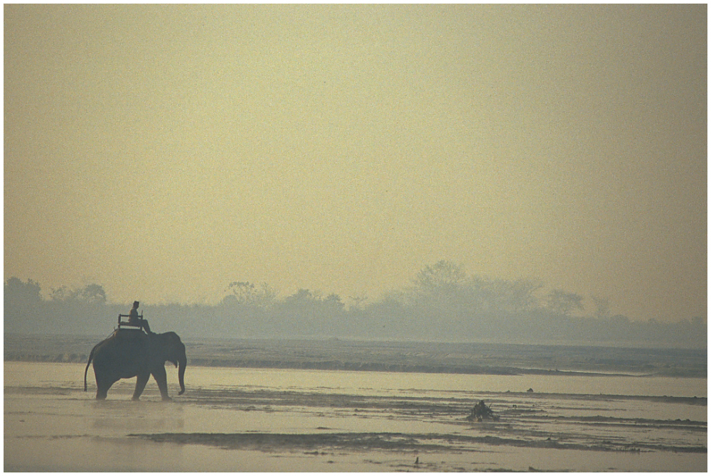 Am Rapti Fluss, Chitwan, Südnepal 01