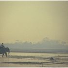 Am Rapti Fluss, Chitwan, Südnepal 01