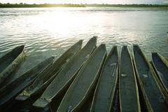 am Rapti River - Chitwan National Park