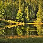 Am Rastplatz beim Ödensee im Ausseer Land