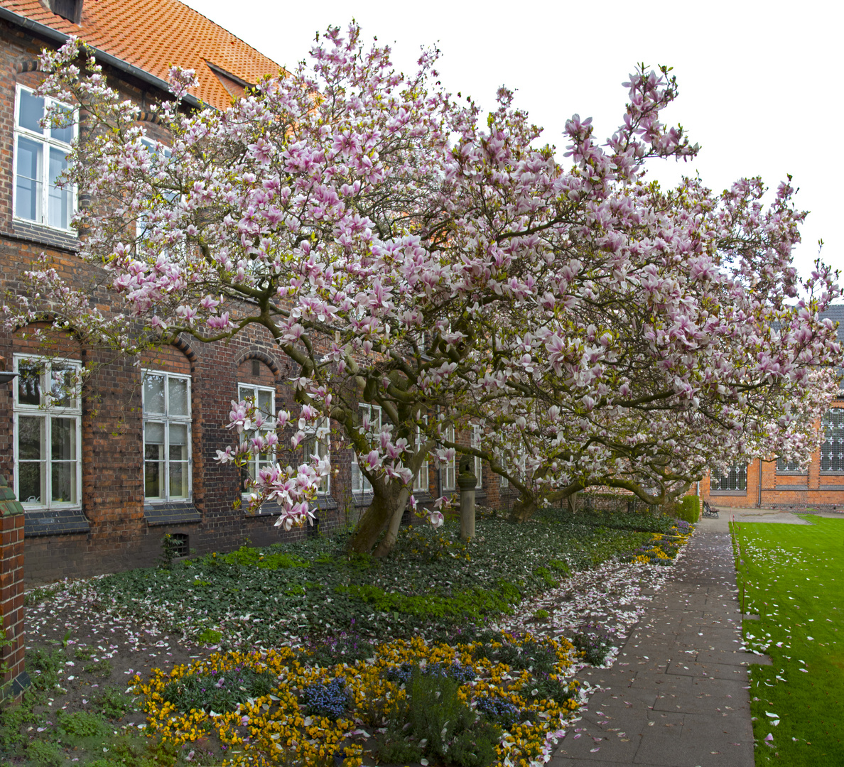 Am Rathaus Lüneburg_D4A1212