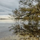 Am Ratzeburger See