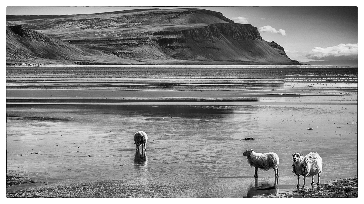 Am Rauðasandur