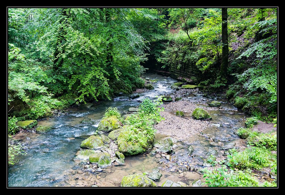 am rauschenden Bach