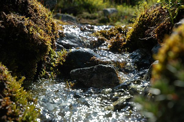 Am rauschenden Bach…