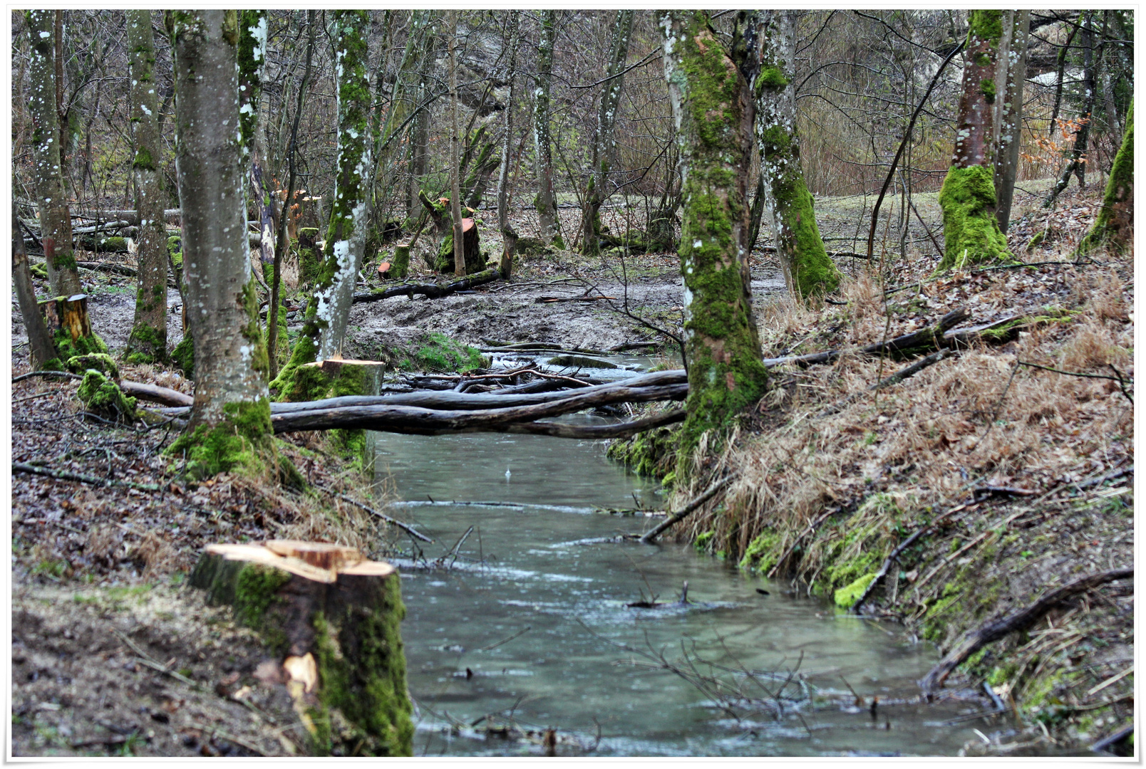 am rauschenden Bach