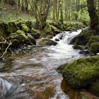 Am rauschenden Bachlauf