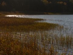 Am Rederangsee