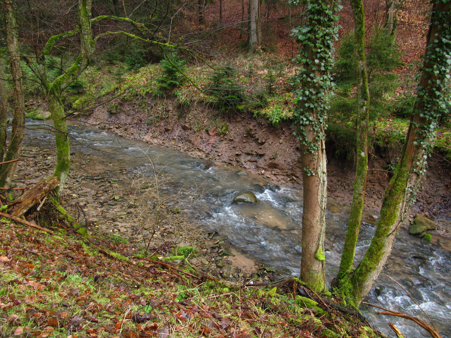 am Reichenbach entlang