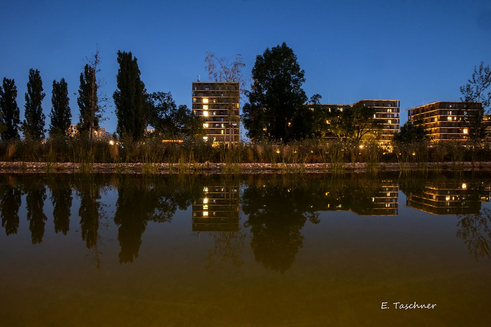 Am Reininghauspark_01_Graz