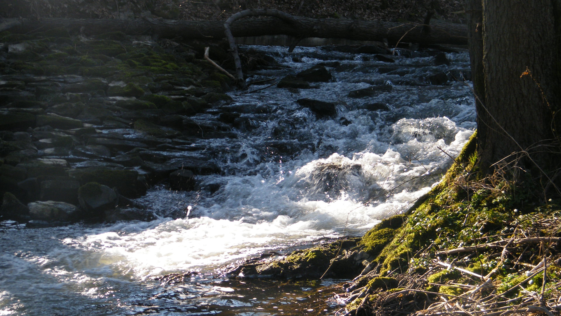 Am reißenden Fluss