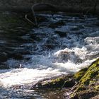 Am reißenden Fluss