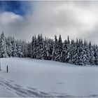 Am Rennsteig bei Schmücke