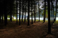 Am Reschensee