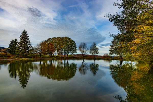 am Reulbacher Weiher