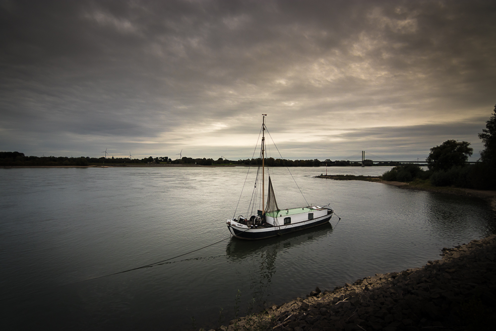 Am Rhein 05