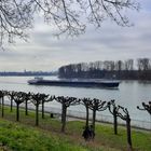 Am Rhein 1