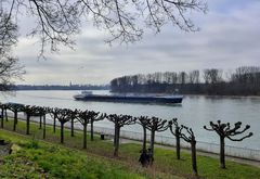 Am Rhein 1