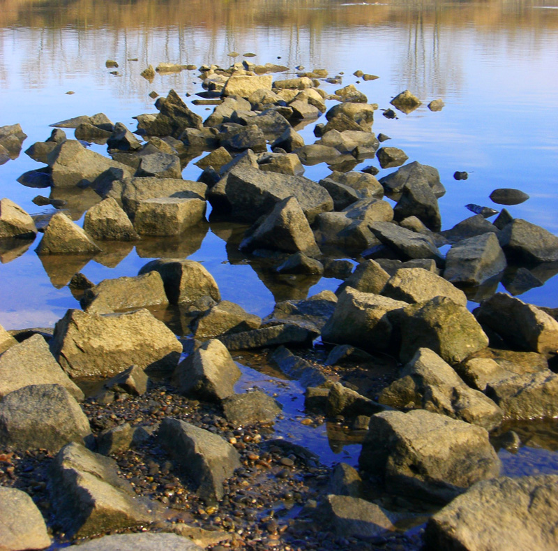 Am Rhein