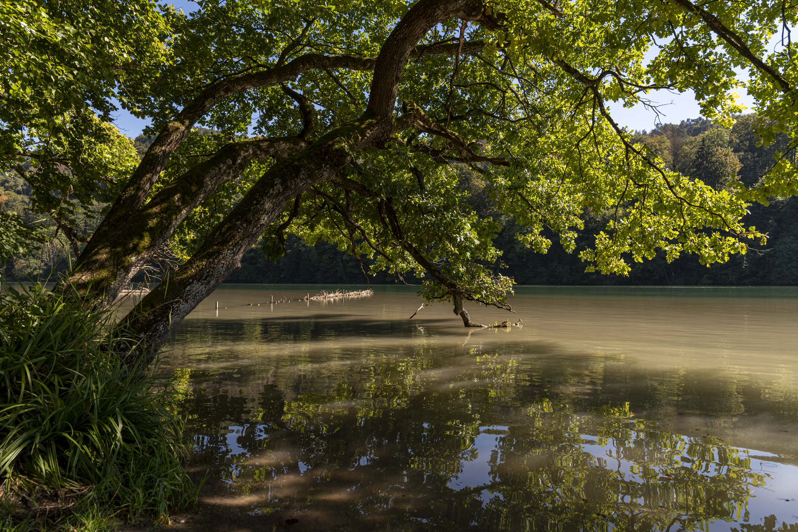 am Rhein