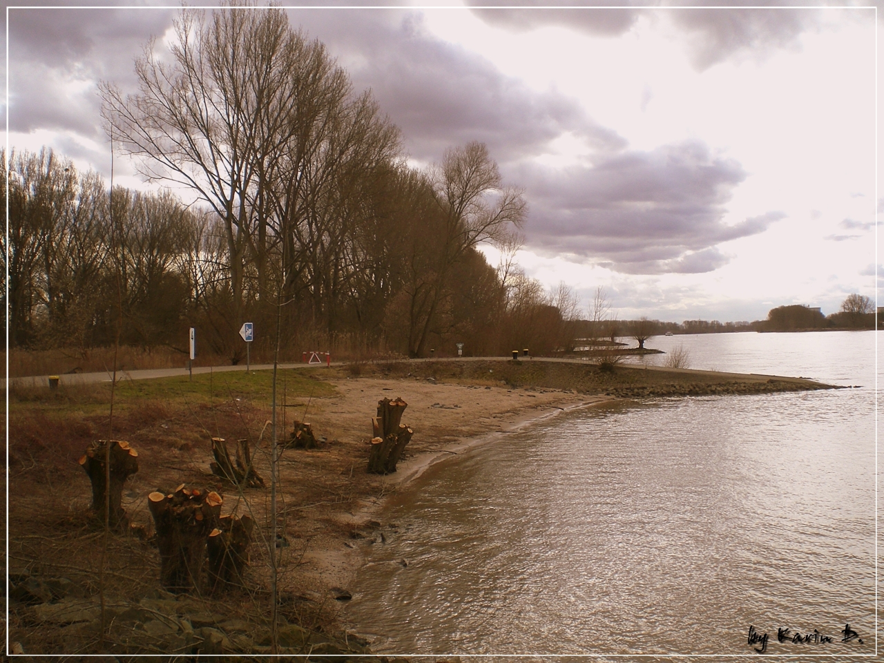 am Rhein