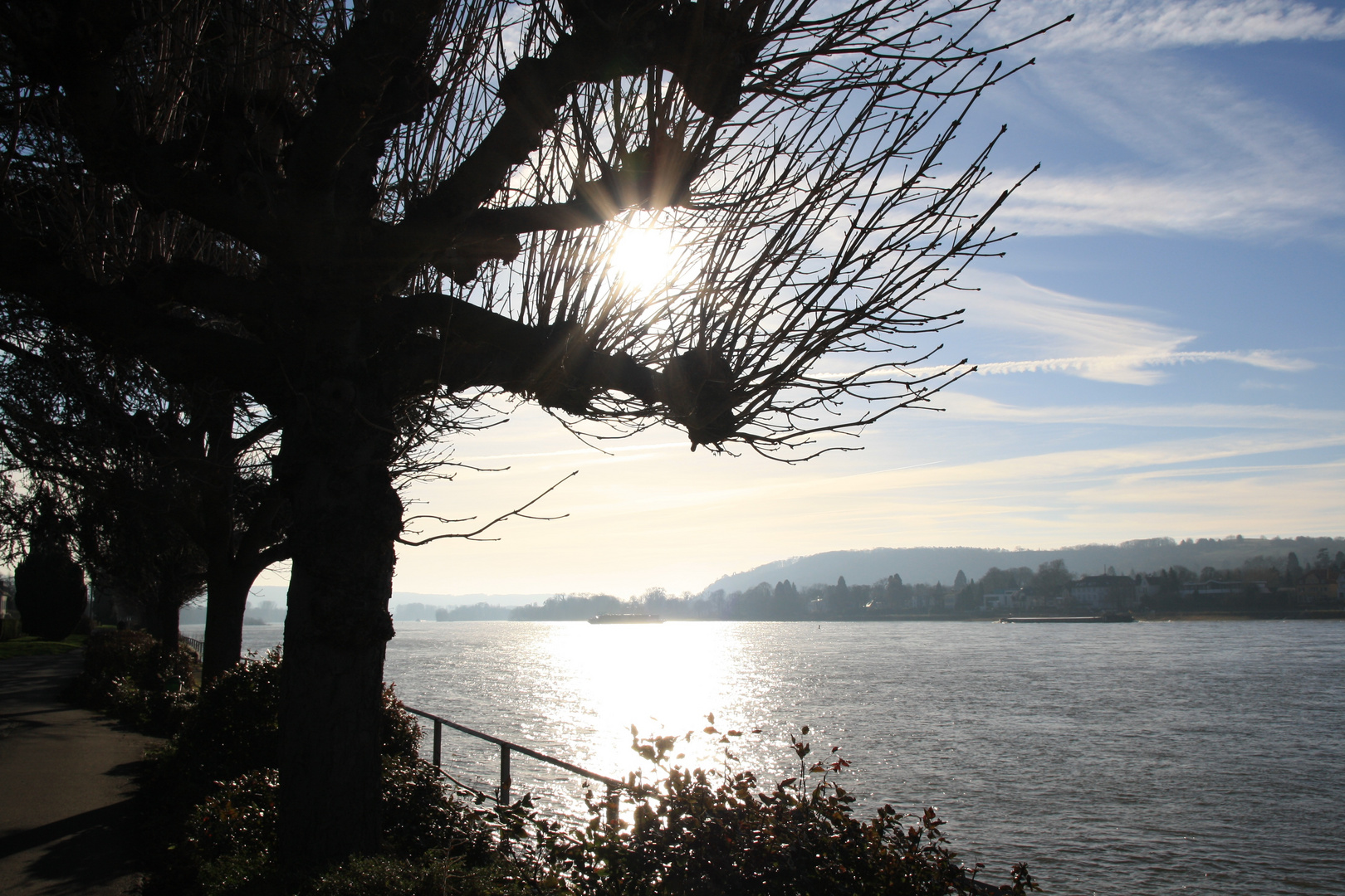 Am Rhein-2