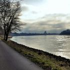 Am Rhein 2