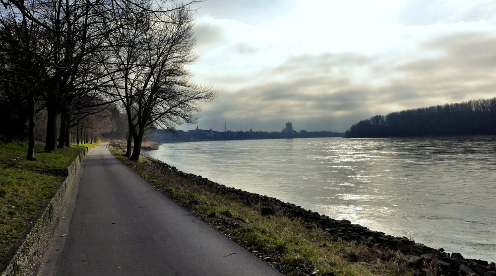 Am Rhein 2