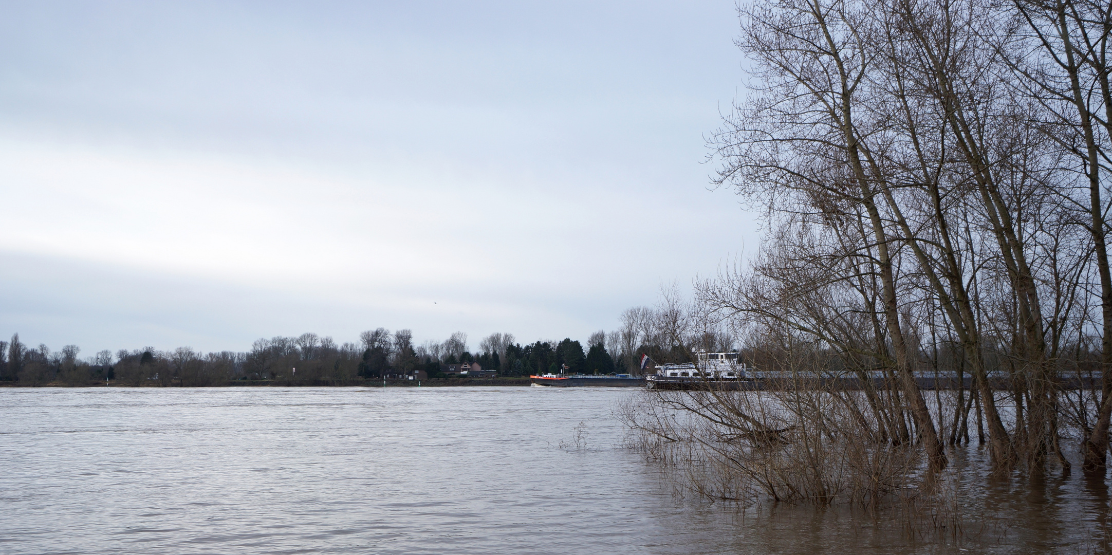 Am Rhein