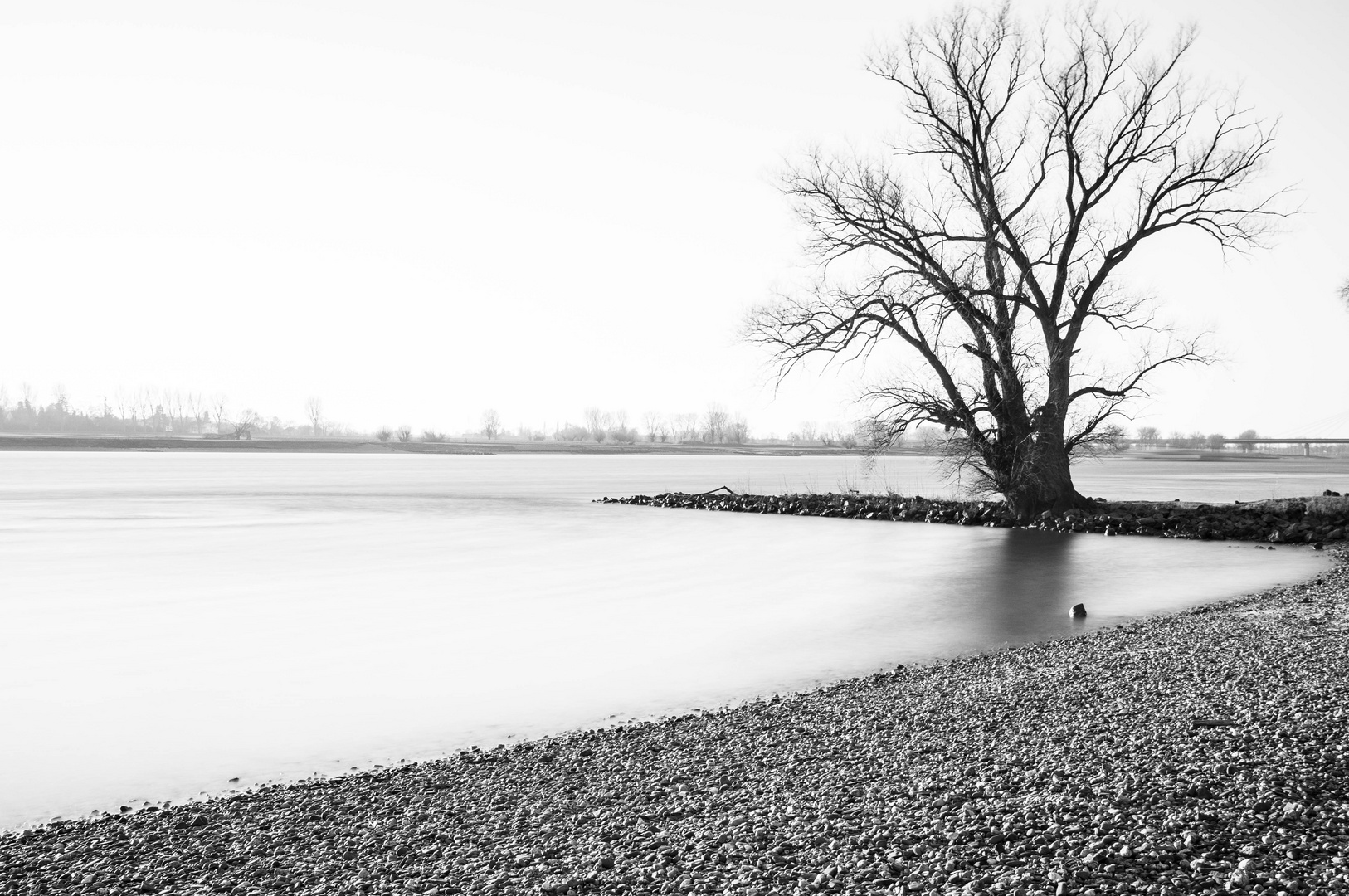 Am Rhein