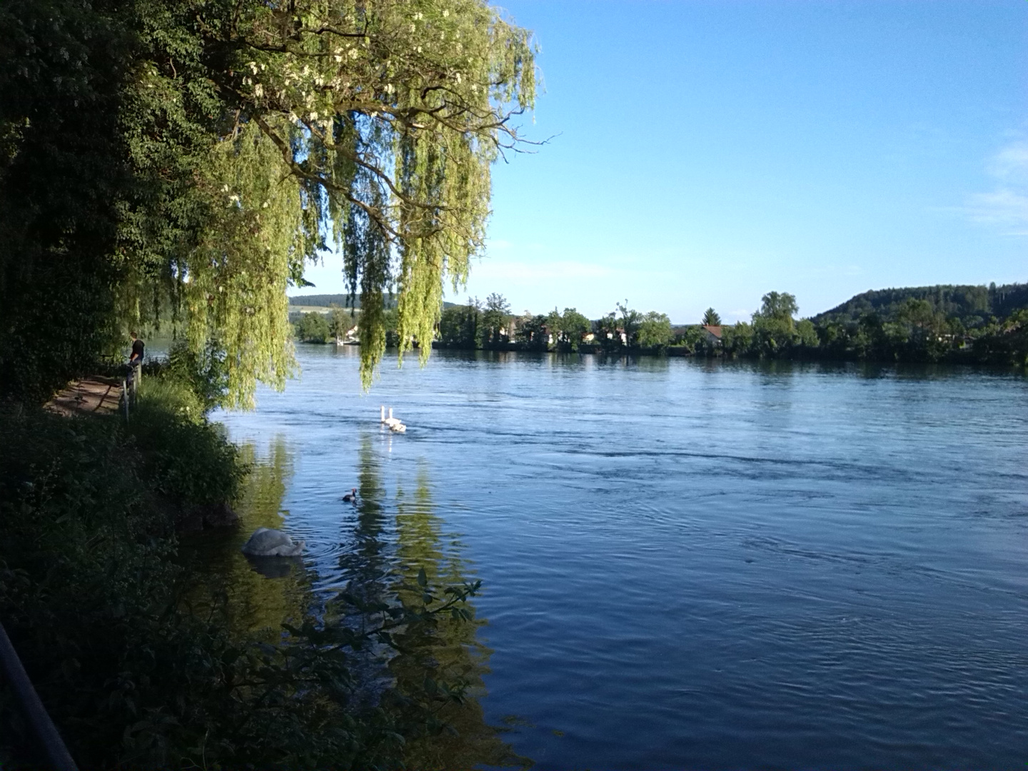 Am Rhein