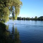 Am Rhein