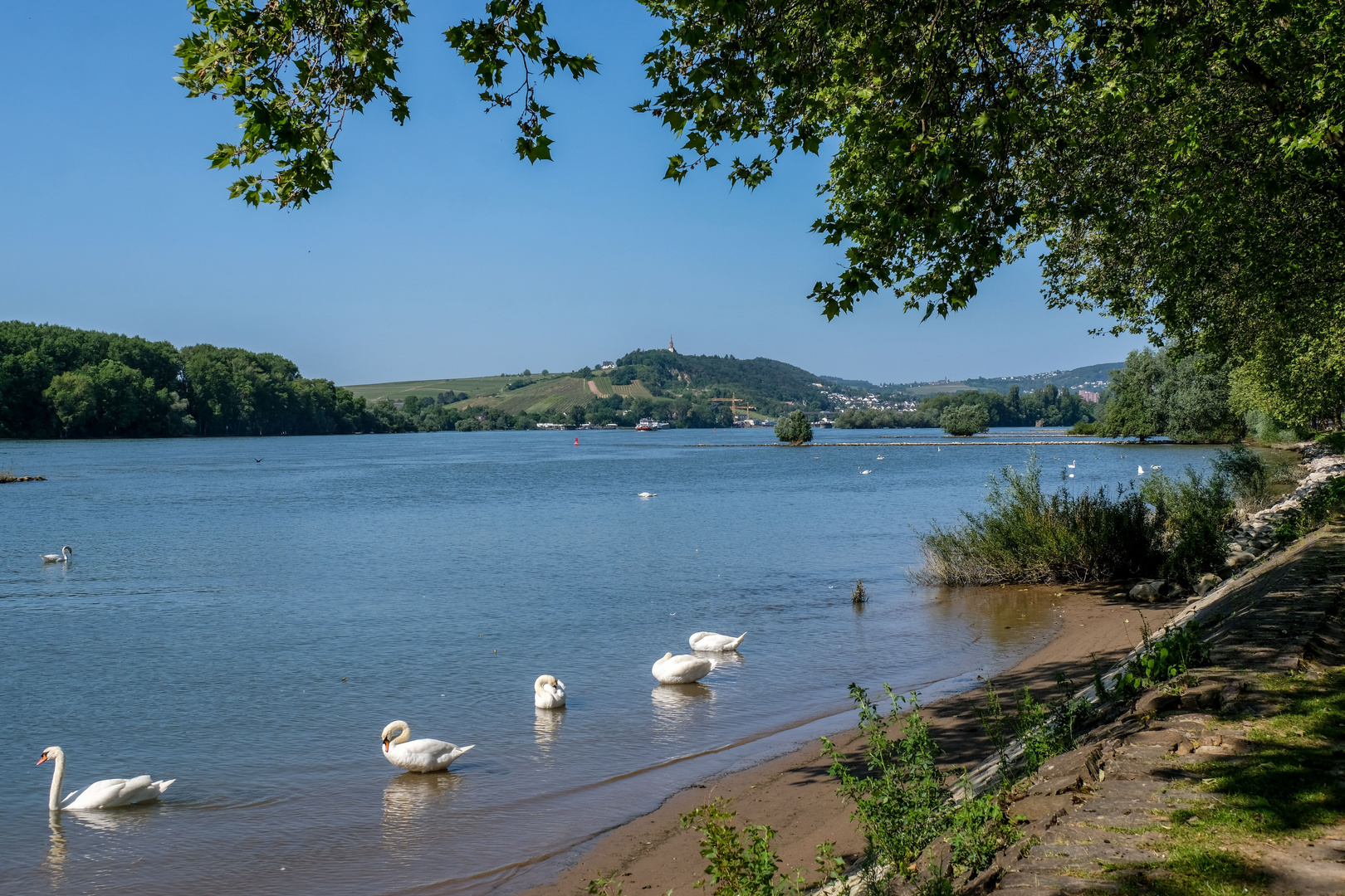 Am Rhein.