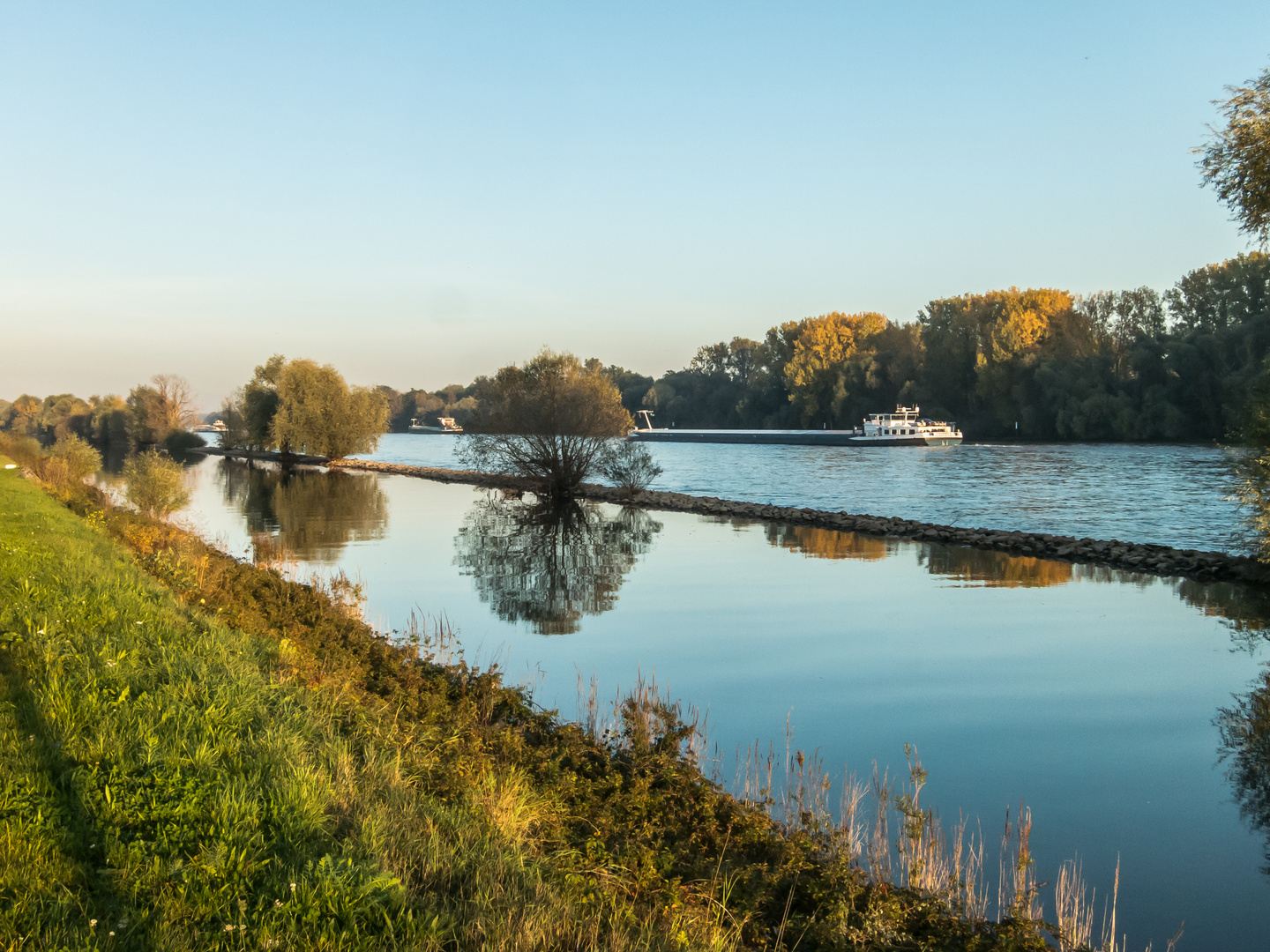 am Rhein