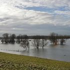 Am Rhein