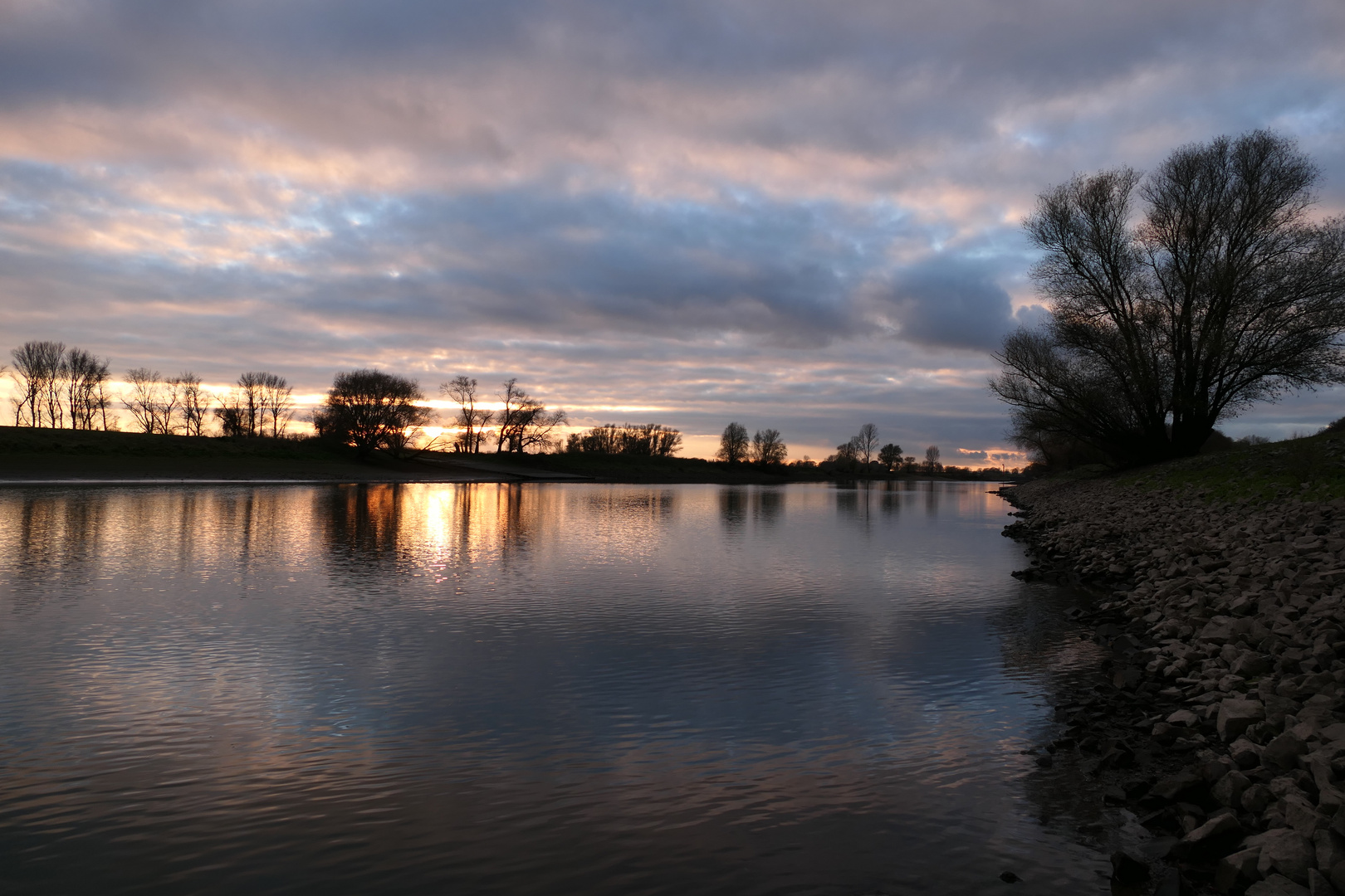 Am Rhein