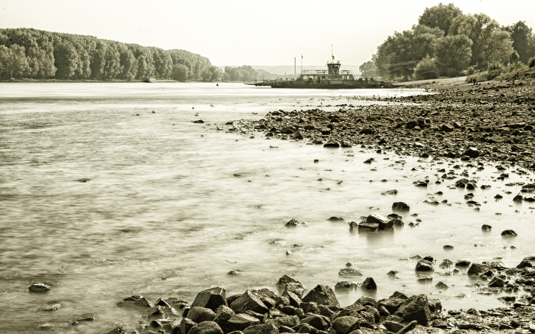 am Rhein