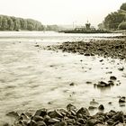 am Rhein