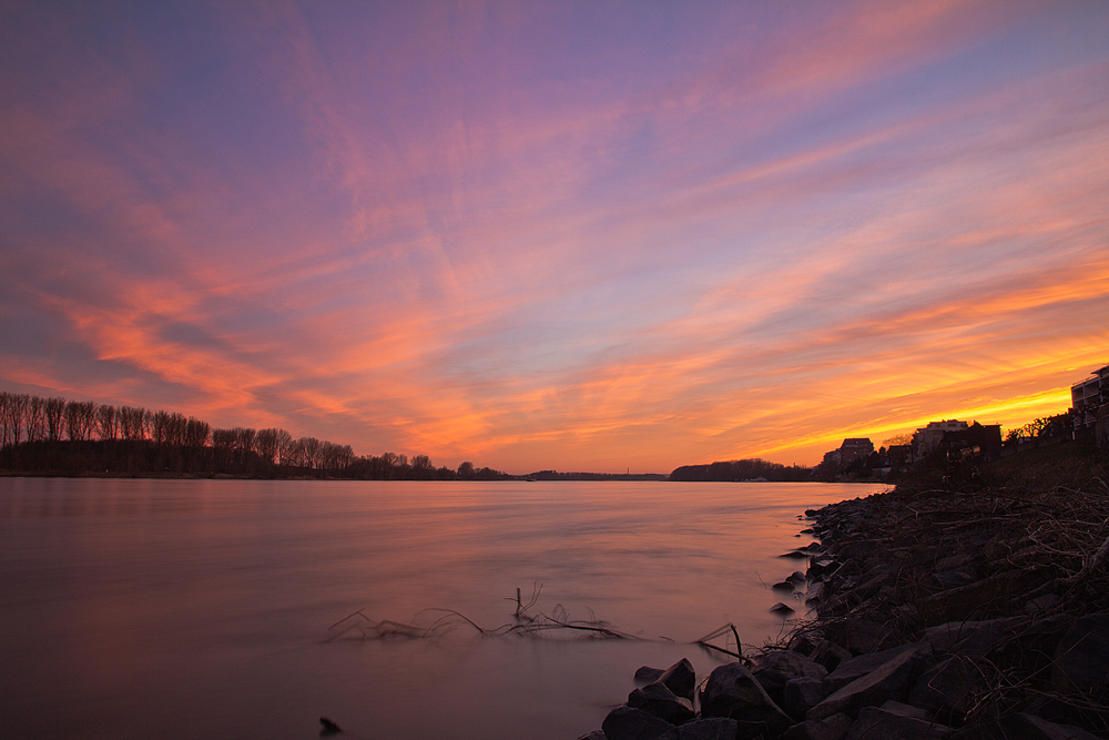 Am Rhein