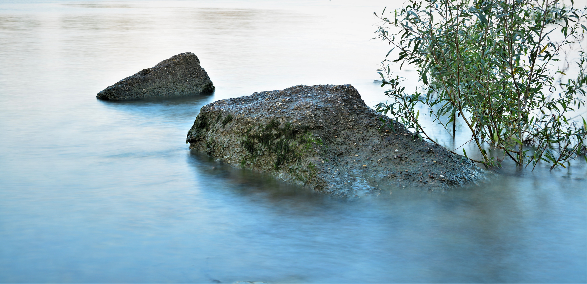 Am Rhein 