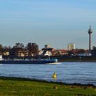 Am Rhein