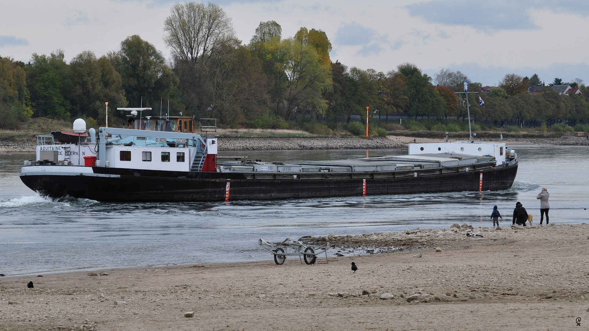 Am Rhein