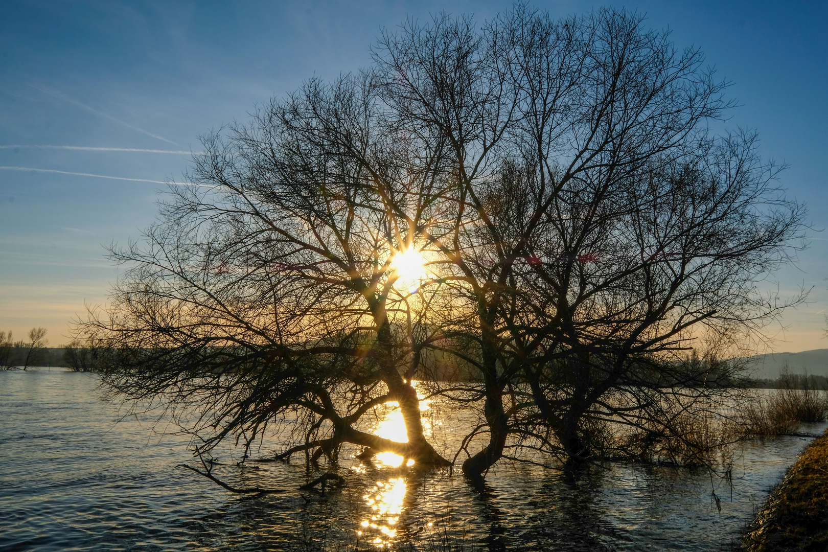 Am Rhein.